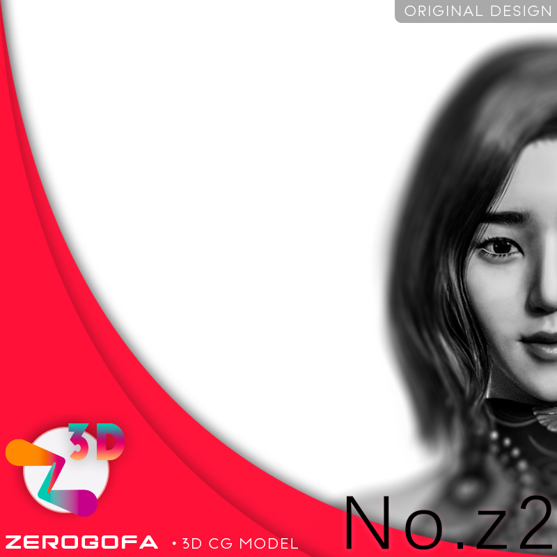 Z2(1).jpg